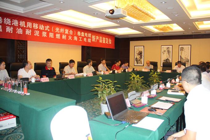 ���Ź��ʹ���-�����ɼ��Ƿ�,����Ʒ�Ƶ�ʵ��