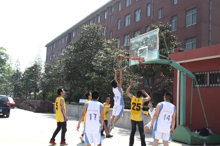 ���Ź��ʹ���-�����ɼ��Ƿ�,����Ʒ�Ƶ�ʵ��