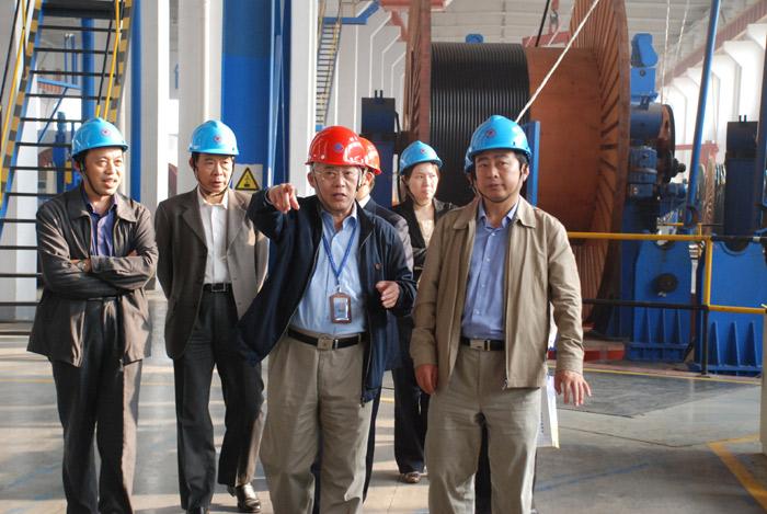 ���Ź��ʹ���-�����ɼ��Ƿ�,����Ʒ�Ƶ�ʵ��