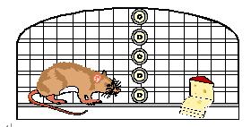 ���Ź��ʹ���-�����ɼ��Ƿ�,����Ʒ�Ƶ�ʵ��