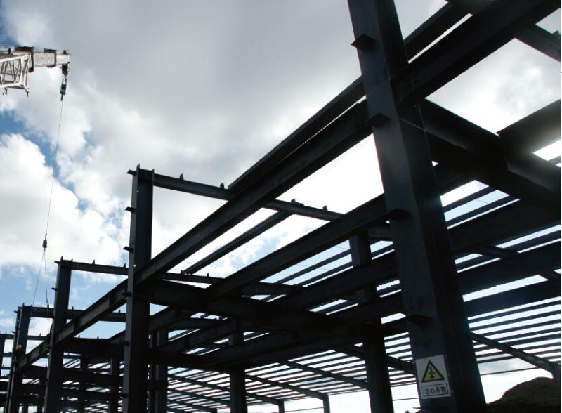 ���Ź��ʹ���-�����ɼ��Ƿ�,����Ʒ�Ƶ�ʵ��