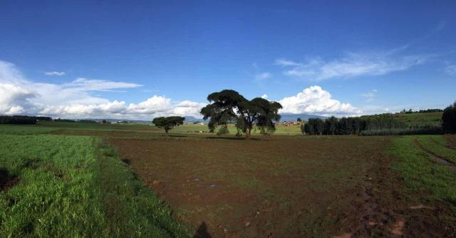 ���Ź��ʹ���-�����ɼ��Ƿ�,����Ʒ�Ƶ�ʵ��