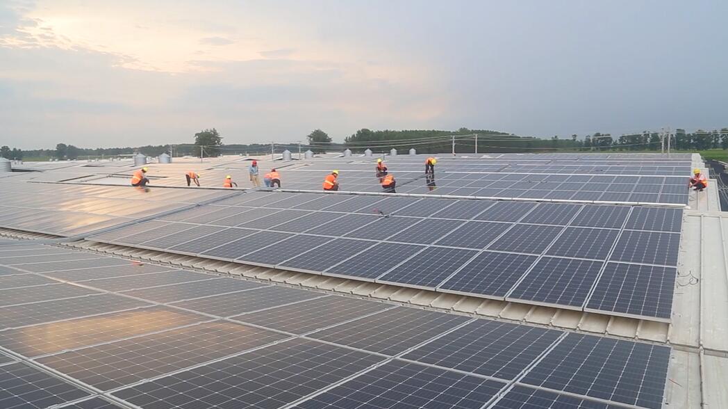 ���Ź��ʹ���-�����ɼ��Ƿ�,����Ʒ�Ƶ�ʵ��