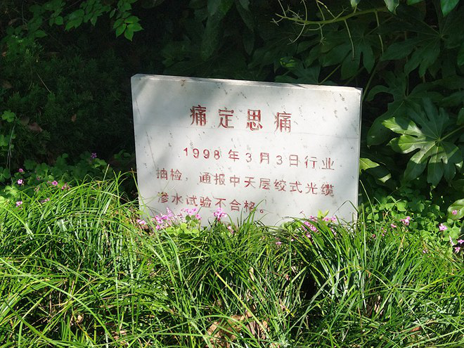 ���Ź��ʹ���-�����ɼ��Ƿ�,����Ʒ�Ƶ�ʵ��