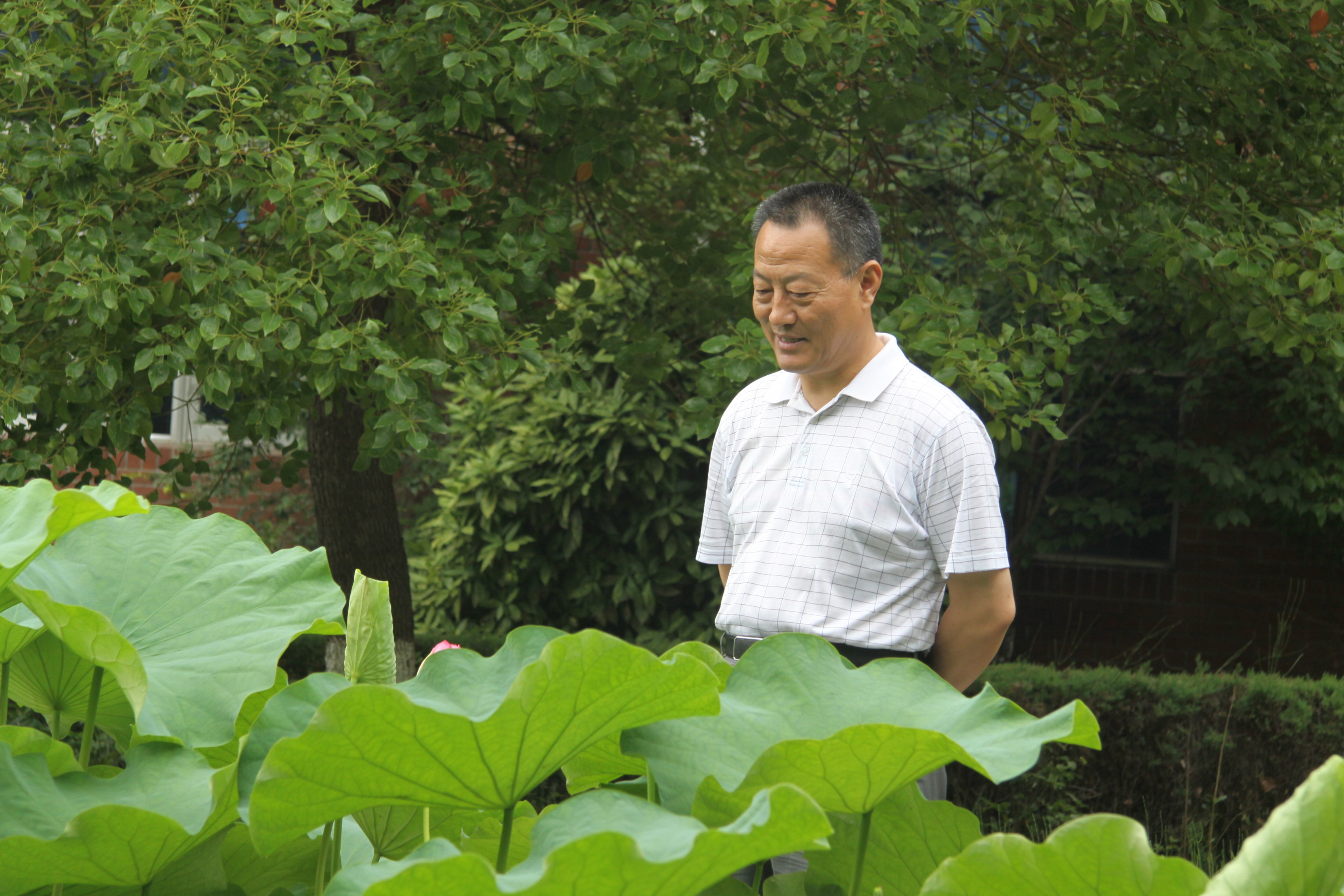 ���Ź��ʹ���-�����ɼ��Ƿ�,����Ʒ�Ƶ�ʵ��