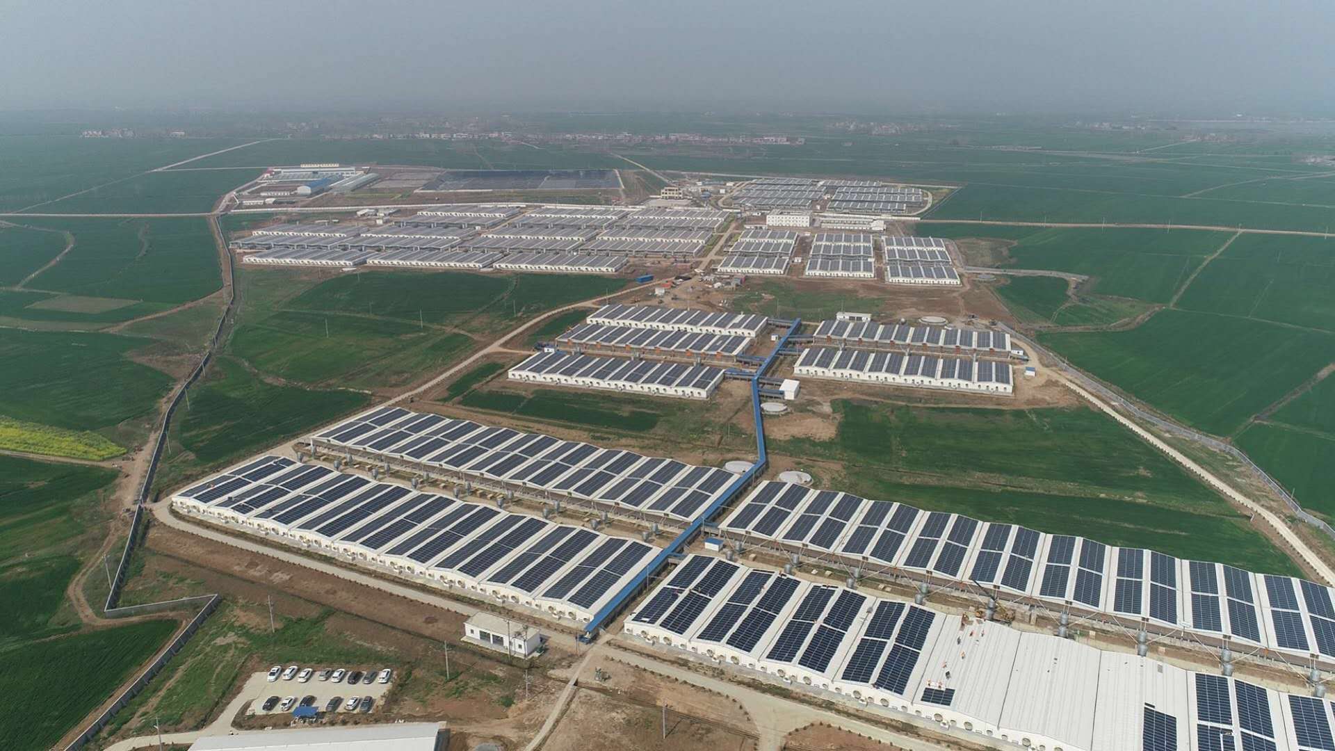 ���Ź��ʹ���-�����ɼ��Ƿ�,����Ʒ�Ƶ�ʵ��