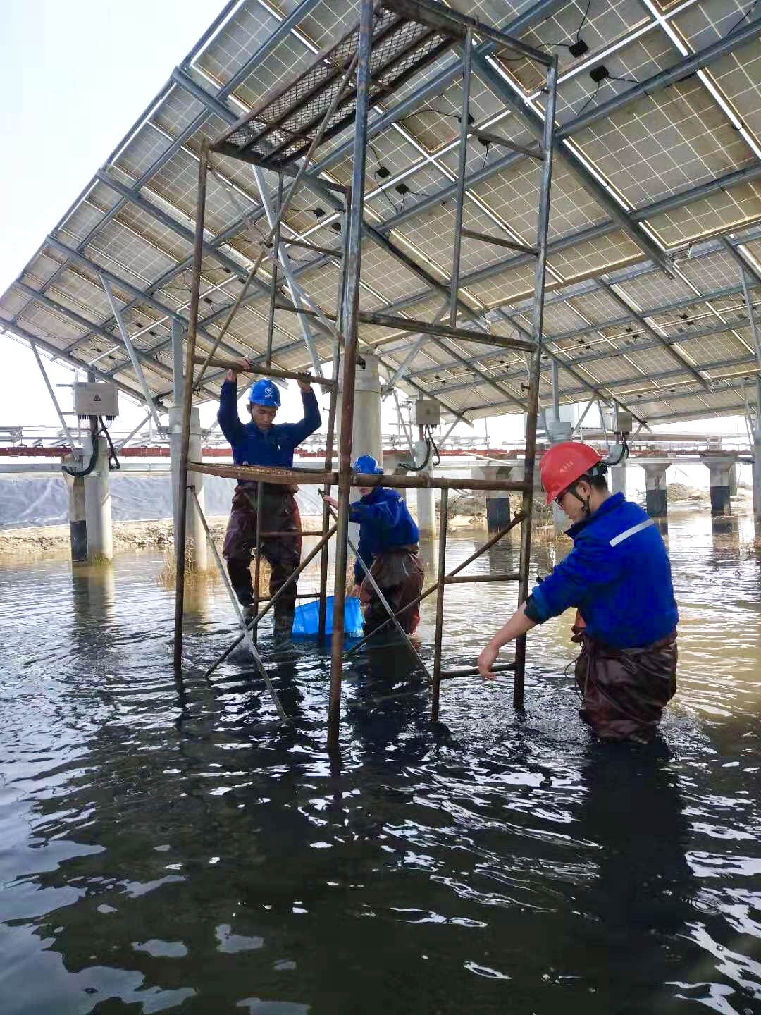 ���Ź��ʹ���-�����ɼ��Ƿ�,����Ʒ�Ƶ�ʵ��