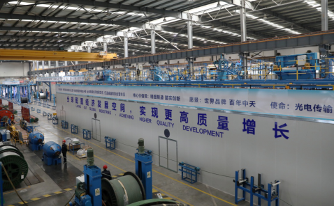 ���Ź��ʹ���-�����ɼ��Ƿ�,����Ʒ�Ƶ�ʵ��