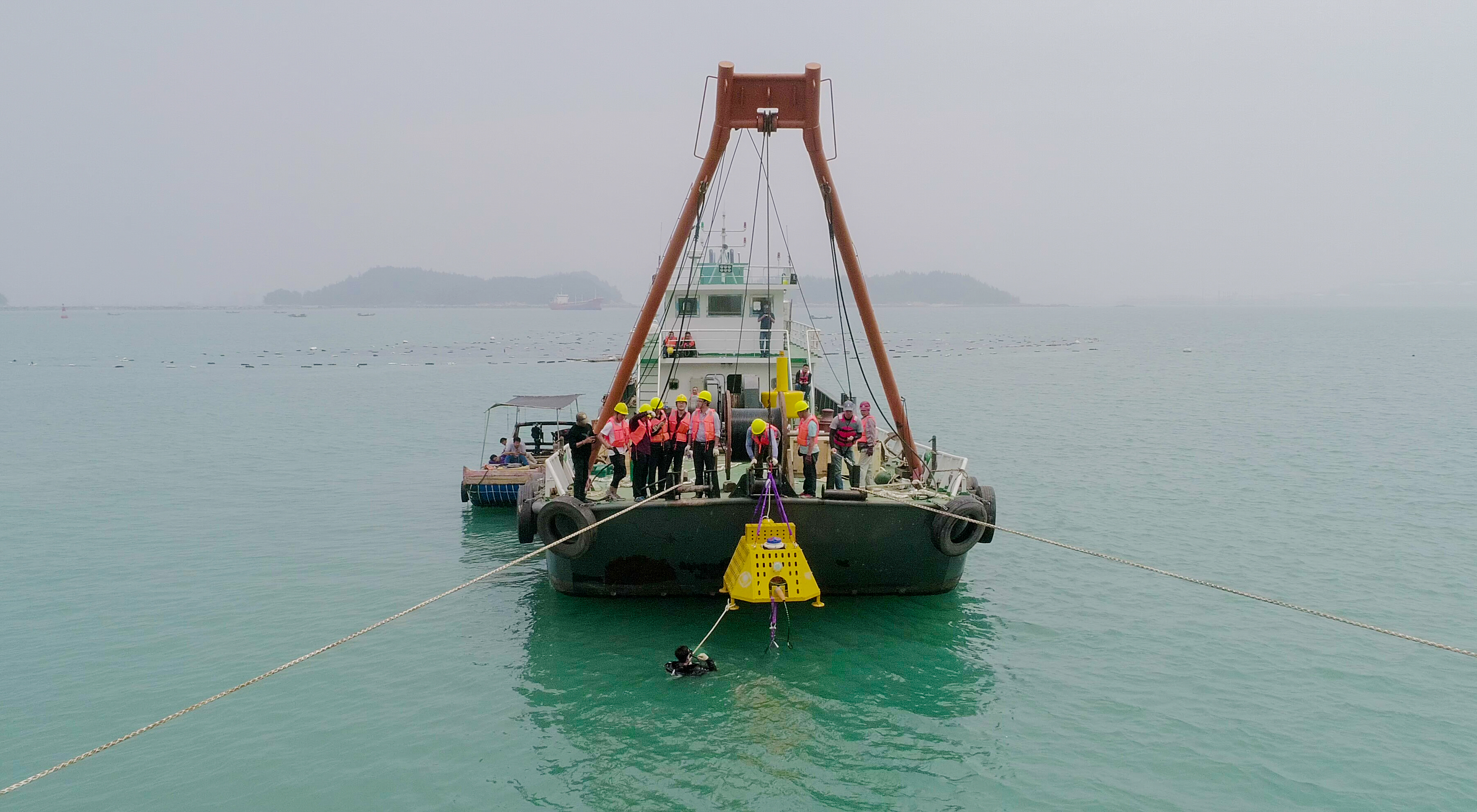 ���Ź��ʹ���-�����ɼ��Ƿ�,����Ʒ�Ƶ�ʵ��