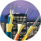 201906180942523086 201906180942523086