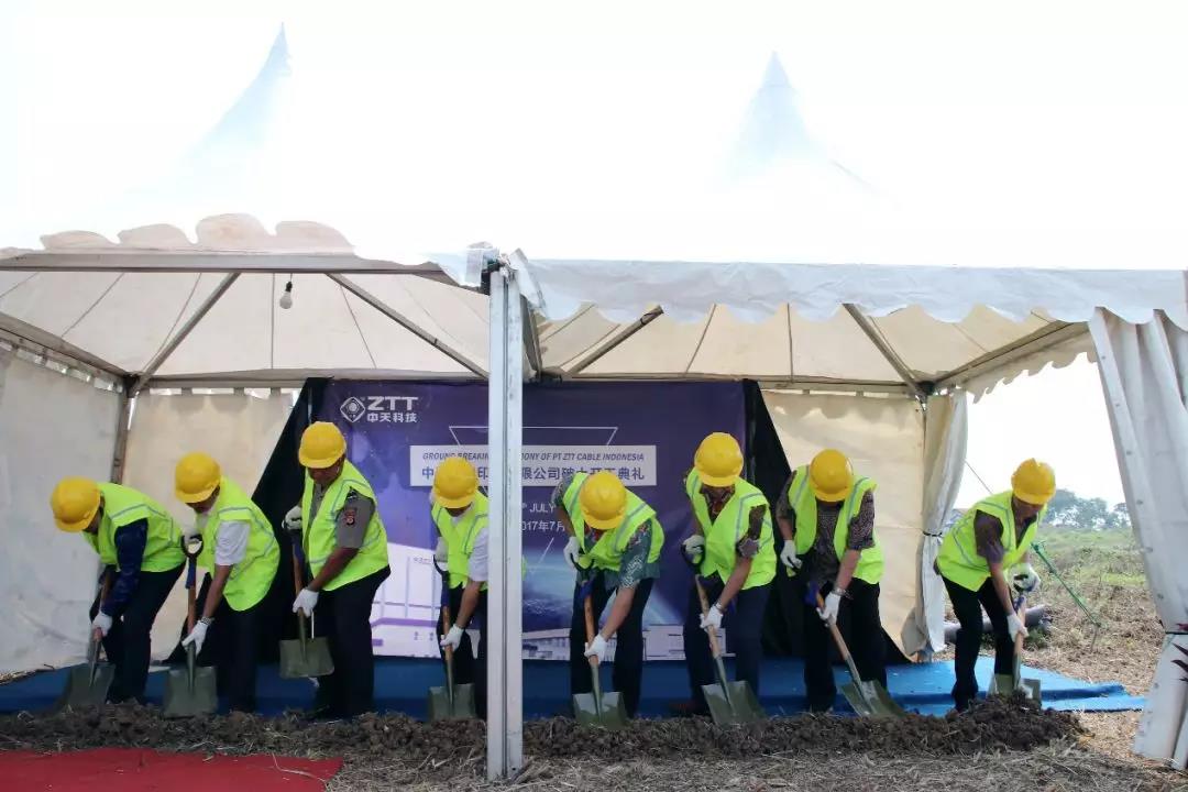 ���Ź��ʹ���-�����ɼ��Ƿ�,����Ʒ�Ƶ�ʵ��