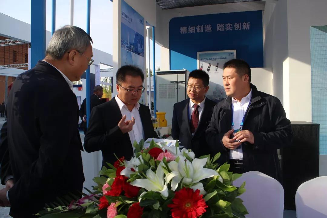 ���Ź��ʹ���-�����ɼ��Ƿ�,����Ʒ�Ƶ�ʵ��