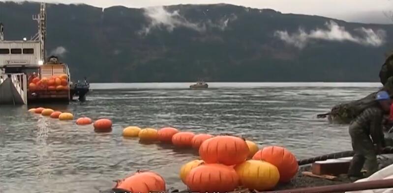 ���Ź��ʹ���-�����ɼ��Ƿ�,����Ʒ�Ƶ�ʵ��