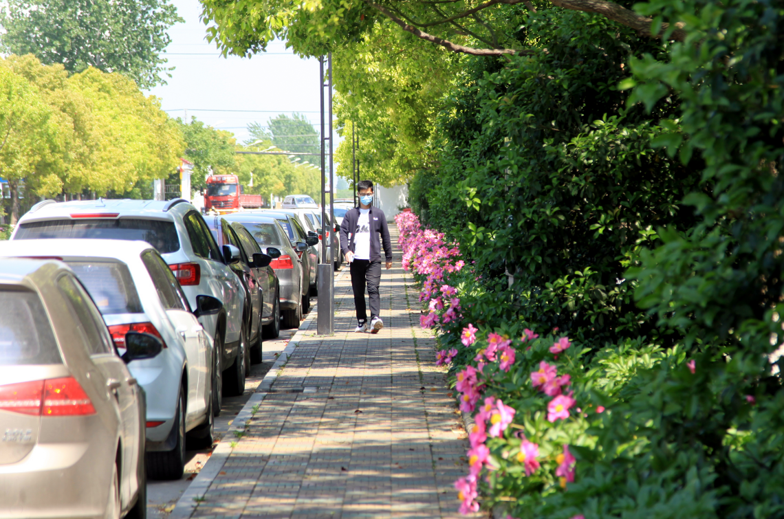 ���Ź��ʹ���-�����ɼ��Ƿ�,����Ʒ�Ƶ�ʵ��