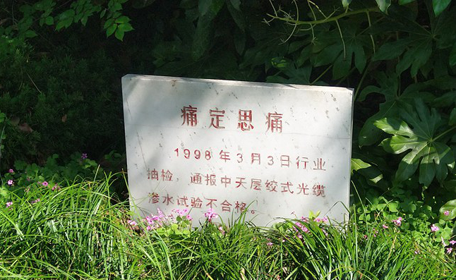 ���Ź��ʹ���-�����ɼ��Ƿ�,����Ʒ�Ƶ�ʵ��