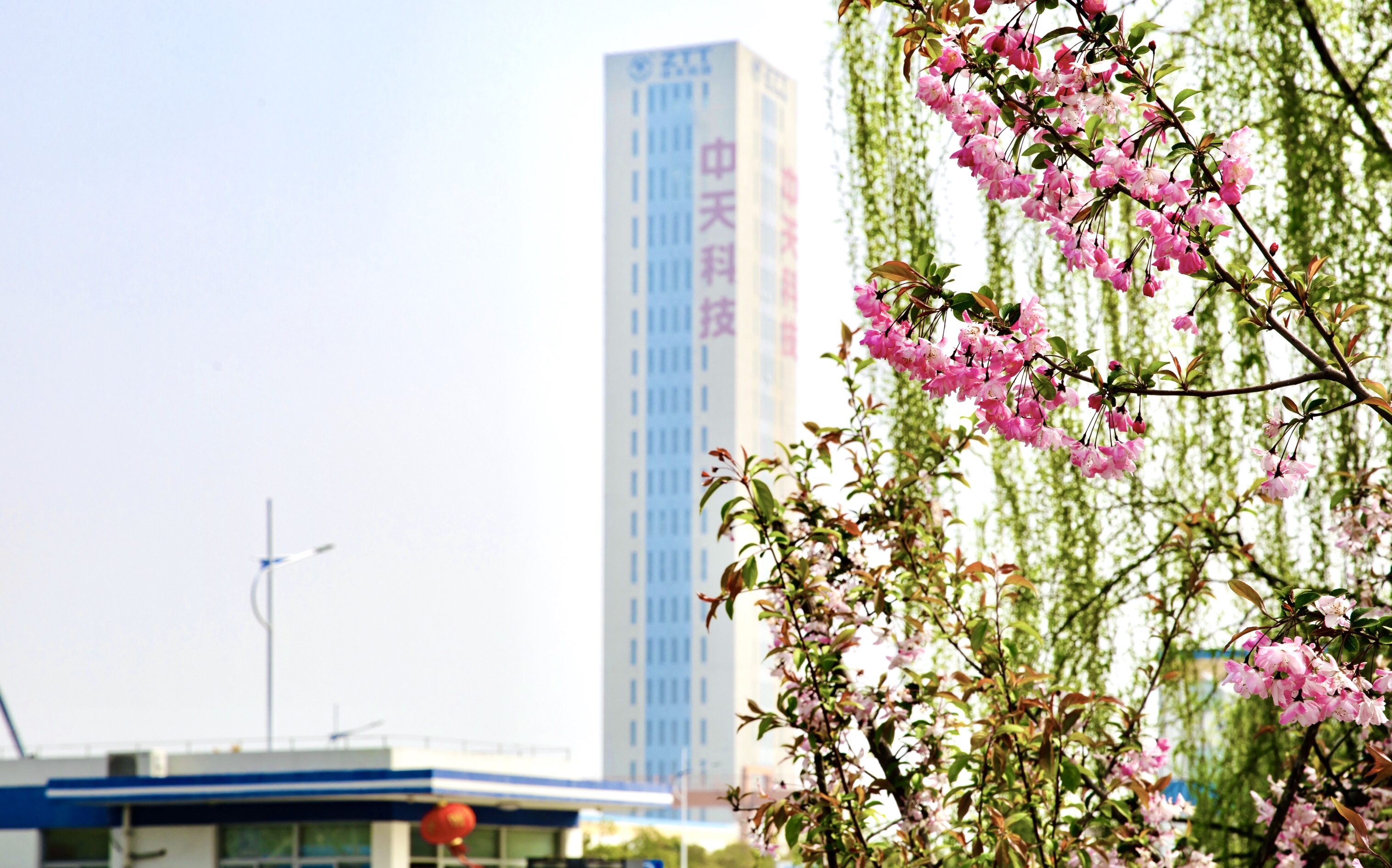 ���Ź��ʹ���-�����ɼ��Ƿ�,����Ʒ�Ƶ�ʵ��