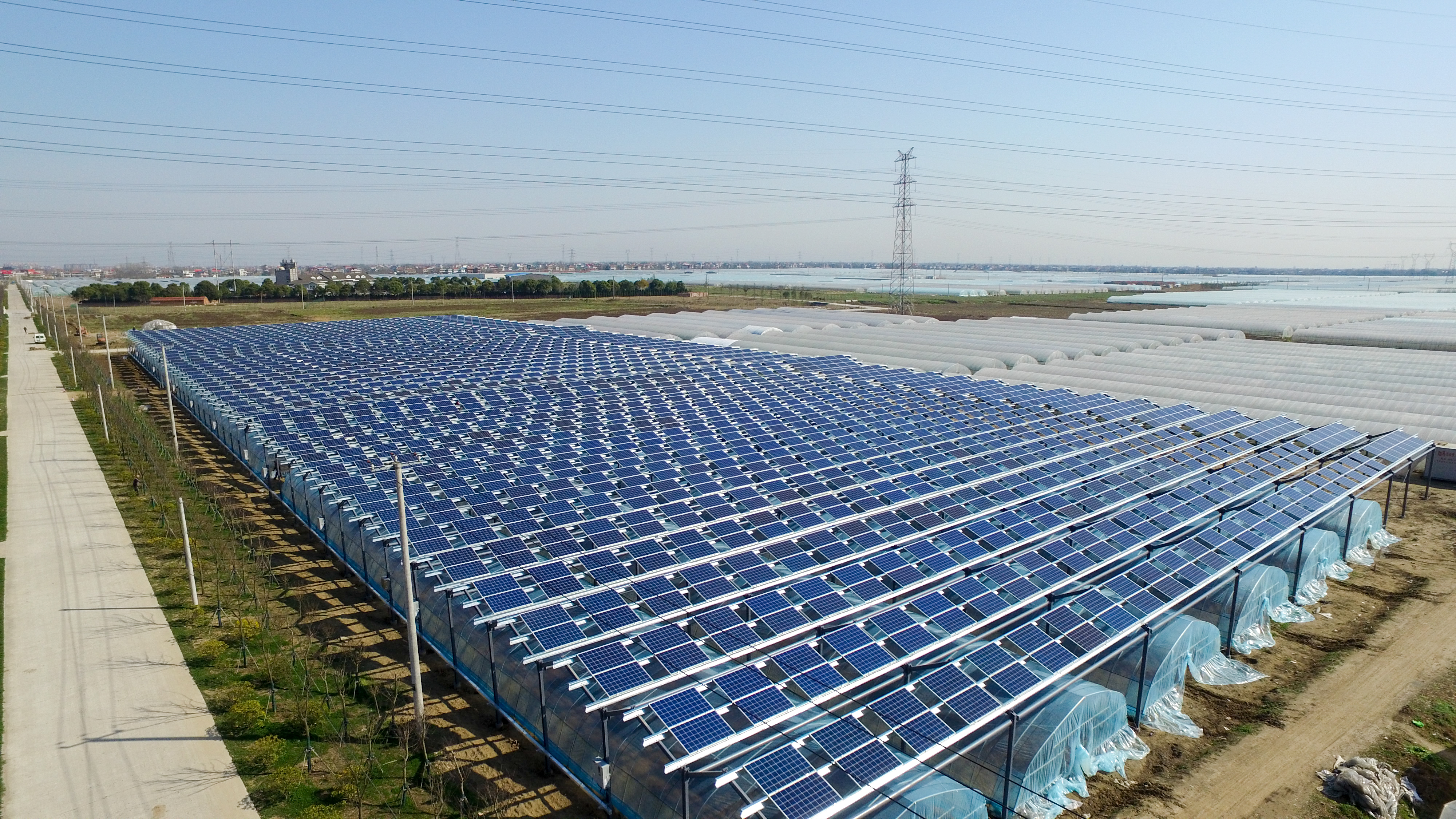 ���Ź��ʹ���-�����ɼ��Ƿ�,����Ʒ�Ƶ�ʵ��