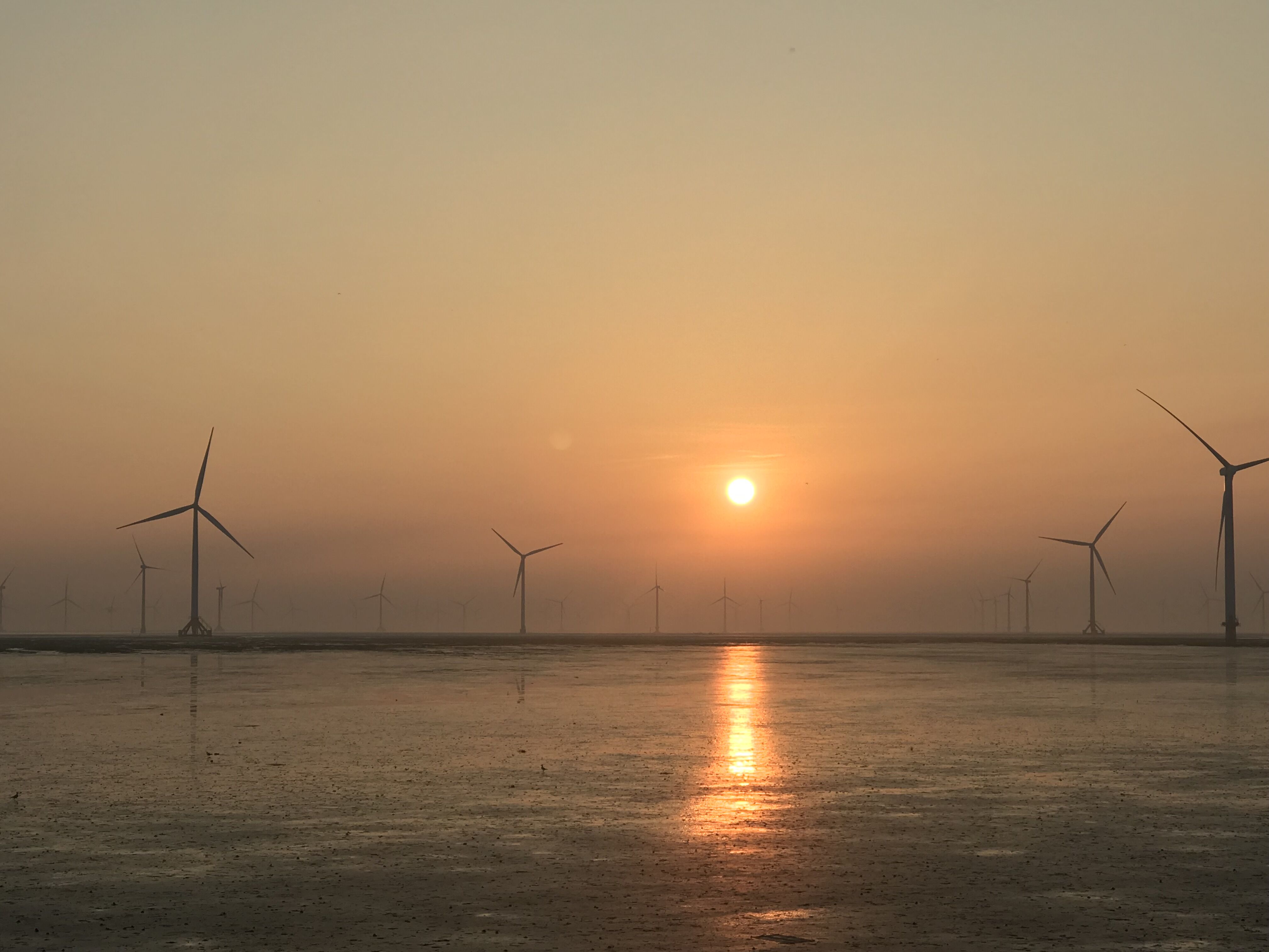 ���Ź��ʹ���-�����ɼ��Ƿ�,����Ʒ�Ƶ�ʵ��