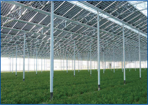 ���Ź��ʹ���-�����ɼ��Ƿ�,����Ʒ�Ƶ�ʵ��