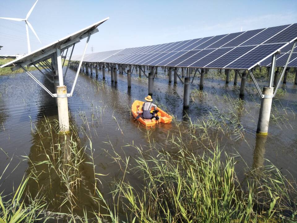 ���Ź��ʹ���-�����ɼ��Ƿ�,����Ʒ�Ƶ�ʵ��