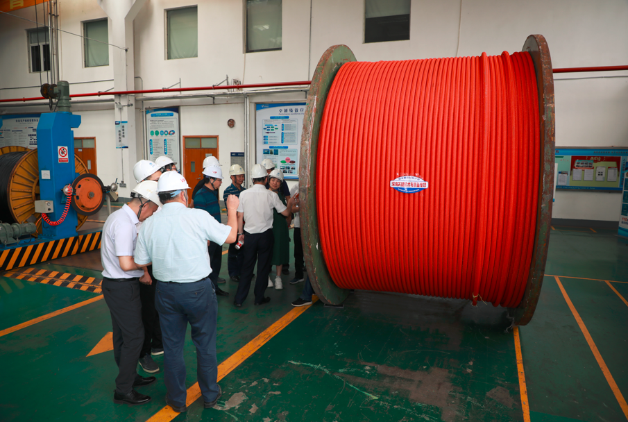 ���Ź��ʹ���-�����ɼ��Ƿ�,����Ʒ�Ƶ�ʵ��