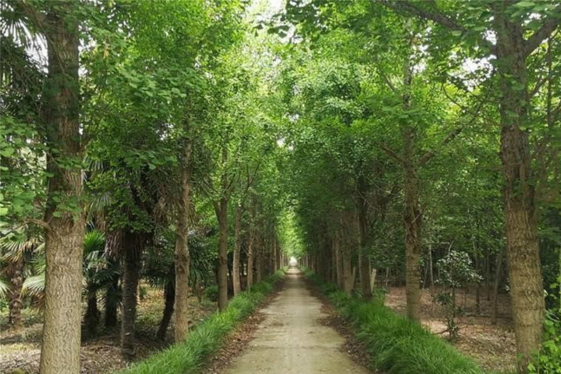 ���Ź��ʹ���-�����ɼ��Ƿ�,����Ʒ�Ƶ�ʵ��